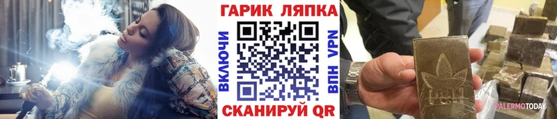 Купить  Светогорск  ГАШ гашик 