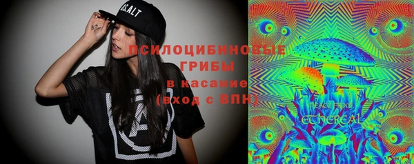 стаф Алзамай