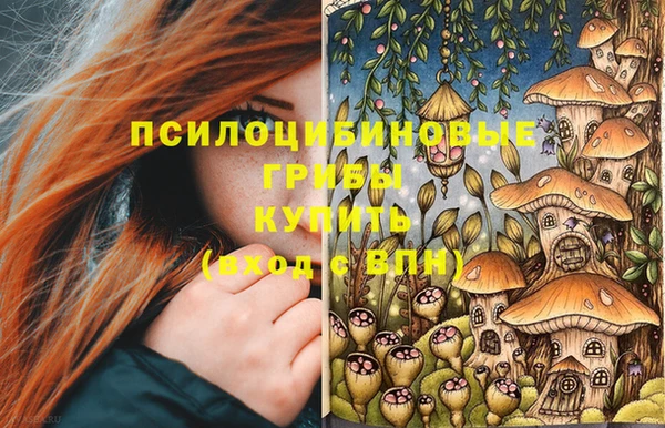 стафф Баксан